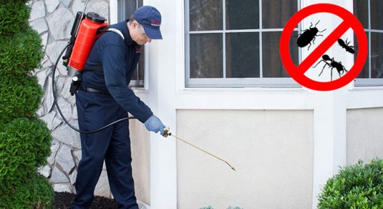 Korgun Dezenfeksiyon böcek ilaçlama ve haşere kontrolü — ilaclama-tr.com
